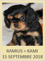 RAMIUS