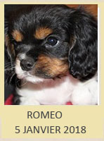 ROMEO