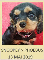 SNOOPEY