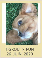 TIGROU