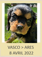 VASCO