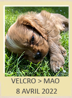 VELCRO