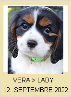 VERA