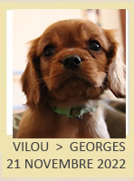 VILOU