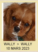 WALLY