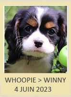 WHOOPIE