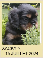 XACKY